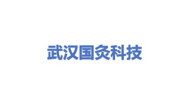 武汉国灸科技开发有限公司