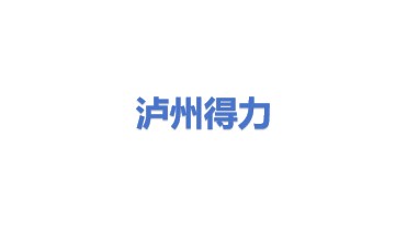 泸州得力液压技术应用有限公司