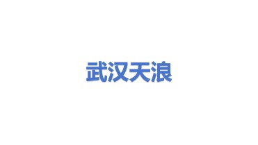 武汉天浪环保技术有限公司