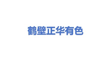鹤壁市正华有色金属有限公司