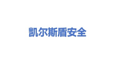 凯尔斯盾（天津）安全科技有限公司