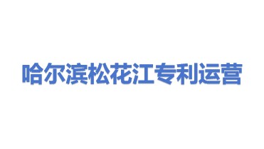 哈尔滨松花江专利运营有限责任公司