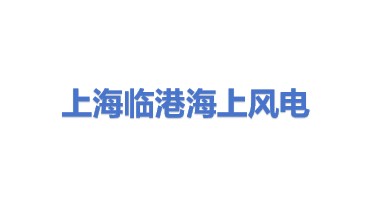 上海临港海上风力发电有限公司