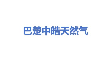 巴楚中皓天然气有限公司