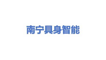 南宁具身智能机器人科技有限公司