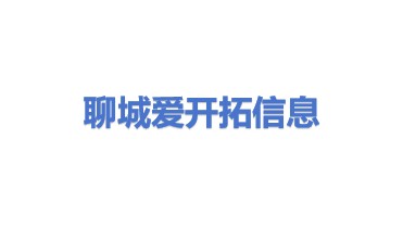 聊城市爱开拓信息科技有限公司