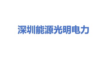 深圳能源光明电力有限公司