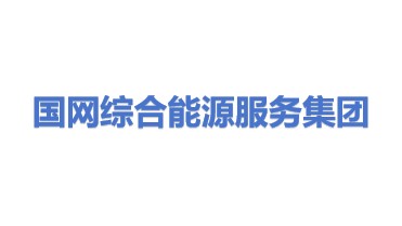 国网综合能源服务集团有限公司
