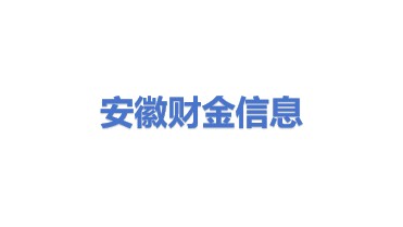 安徽财金信息科技有限公司
