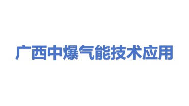 广西中爆气能技术应用有限公司
