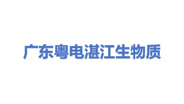 广东粤电湛江生物质发电有限公司
