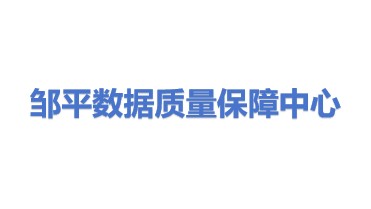 邹平市数据质量保障中心