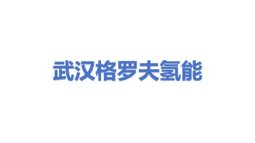 格罗夫氢能源科技集团有限公司