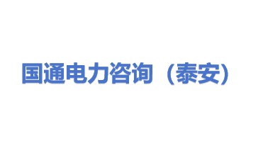 国通电力咨询服务（泰安）有限公司