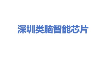 类脑智能芯片科技(深圳)有限公司