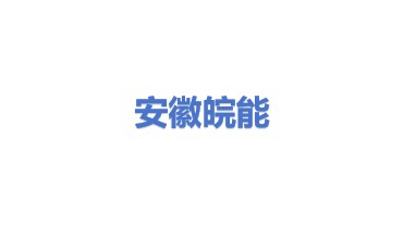 安徽皖能环保发电有限公司
