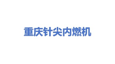 重庆针尖内燃机部件制造有限公司