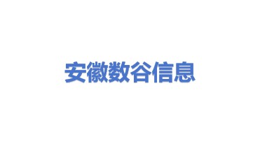 安徽数谷信息科技有限公司
