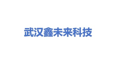 武汉鑫未来科技工程有限公司
