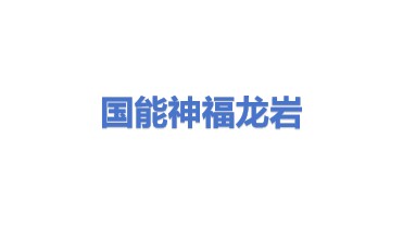 国能神福（龙岩）发电有限公司