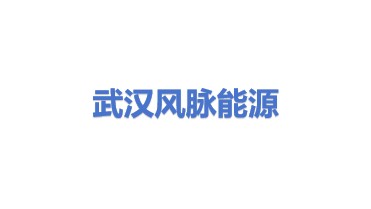 风脉能源（武汉）股份有限公司