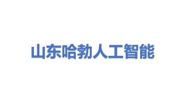 山东哈勃人工智能有限公司