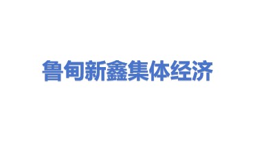鲁甸新鑫集体经济有限责任公司