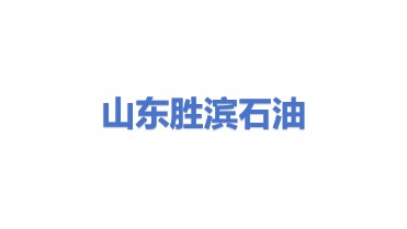 山东滨州胜滨石油仪器制造有限公司