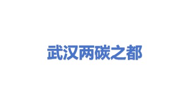 两碳之都(武汉)产业投资管理有限公司
