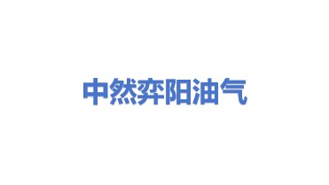 中然弈阳石油燃气销售有限公司