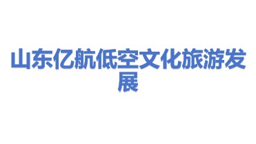 山东亿航低空文化旅游发展有限公司
