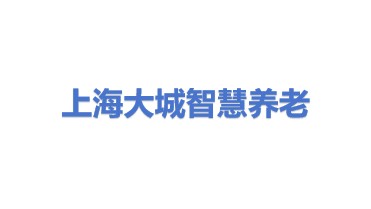 上海大城智慧养老服务有限公司