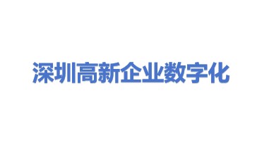 深圳市高新企业数字化学会
