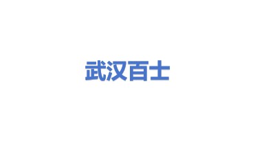 武汉百士自动化设备有限公司