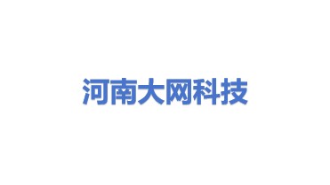 河南大网科技发展有限公司