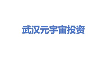 武汉元宇宙投资咨询有限公司