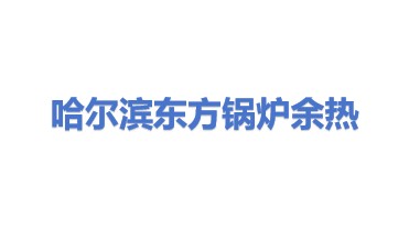 哈尔滨东方锅炉余热科技开发有限公司