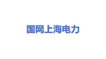 国网上海市电力公司