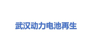 武汉动力电池再生技术有限公司