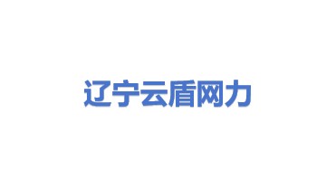辽宁云盾网力科技有限公司