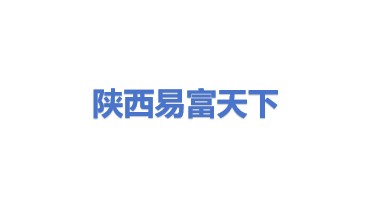 陕西易富天下信息技术服务有限公司