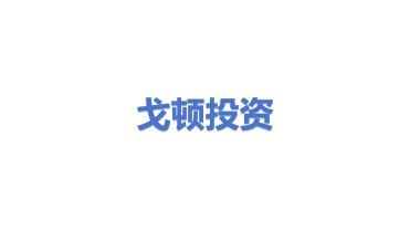 戈顿投资集团有限公司