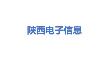 陕西电子信息集团实业有限公司