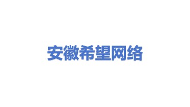 安徽希望网络科技有限公司