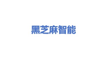 黑芝麻智能科技有限公司