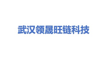 武汉领晟旺链科技有限公司