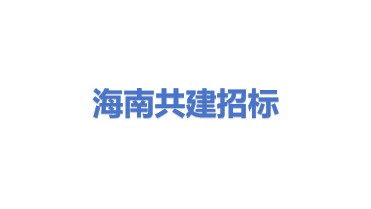 海南共建电子招标投标交易平台有限公司