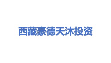 西藏豪德天沐投资有限公司