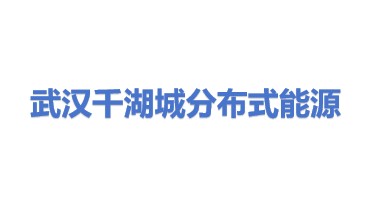 武汉千湖城分布式能源有限公司