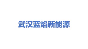 武汉蓝焰贾斯特森新能源有限公司